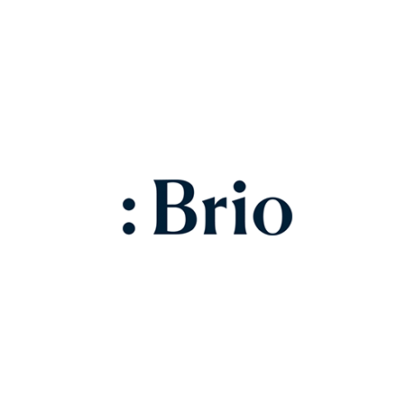 logo de Brio Conseils